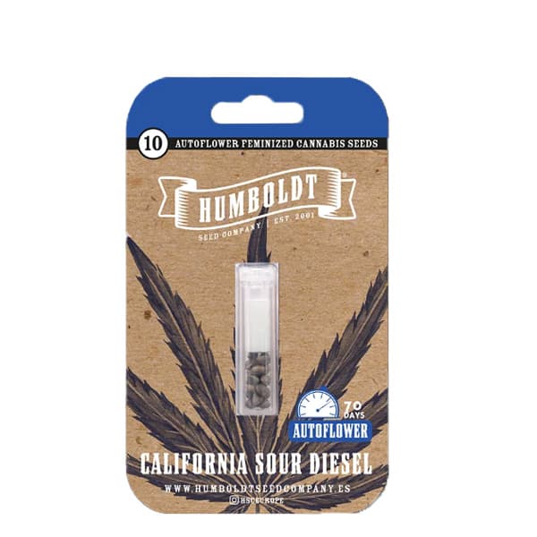 California Sour Diesel Auto > Humboldt Seeds Company | Autoflowering Cannabis   |  Sativa